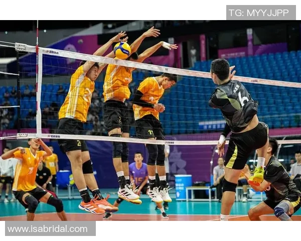 聚焦排球：上海排球队的耐力话题