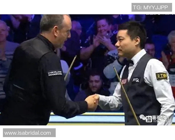 西安篮球队在大师赛中的默契配合与战术执行分析